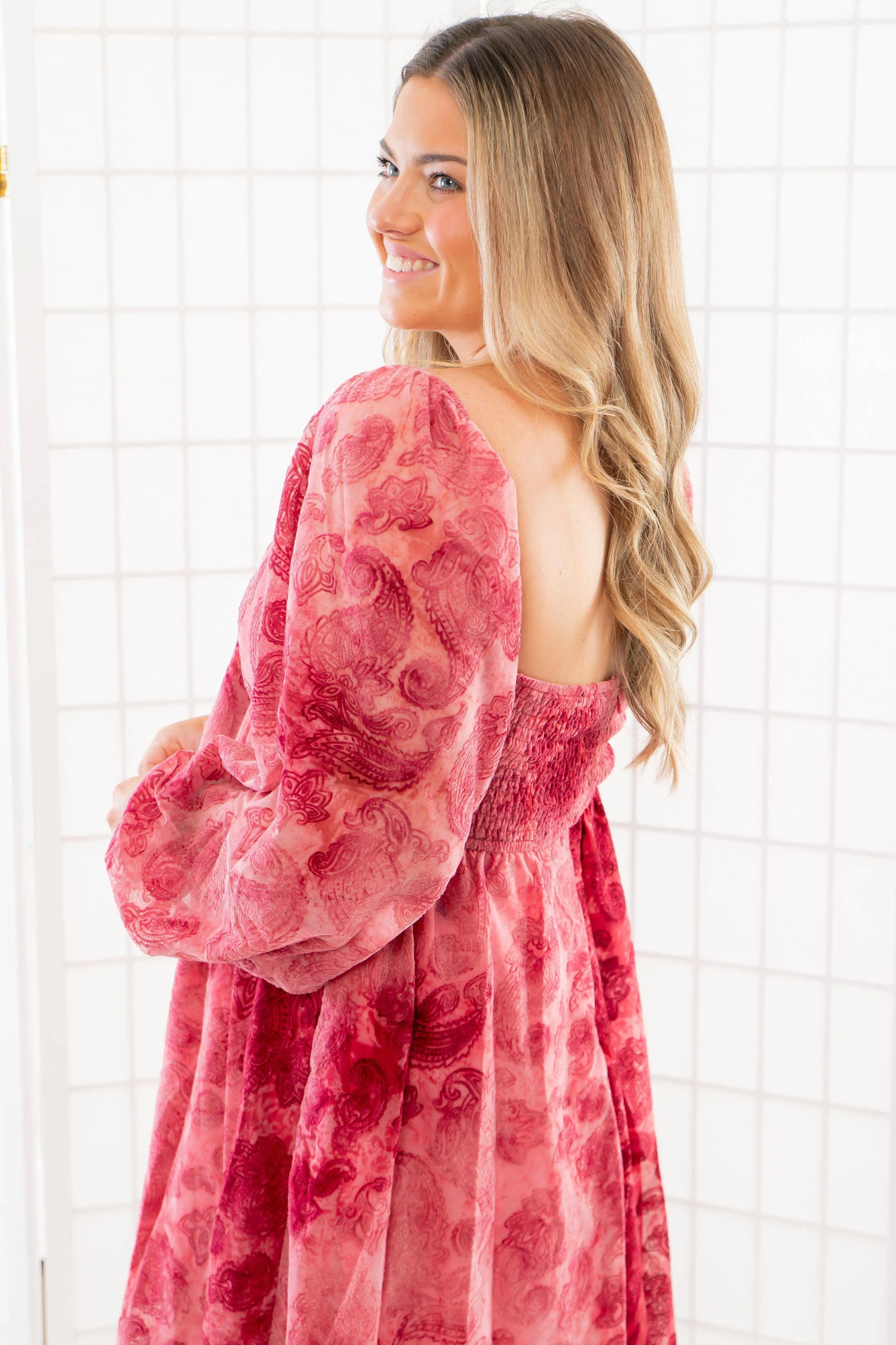 Paisley Berry Burnout Velvet Mini Dress