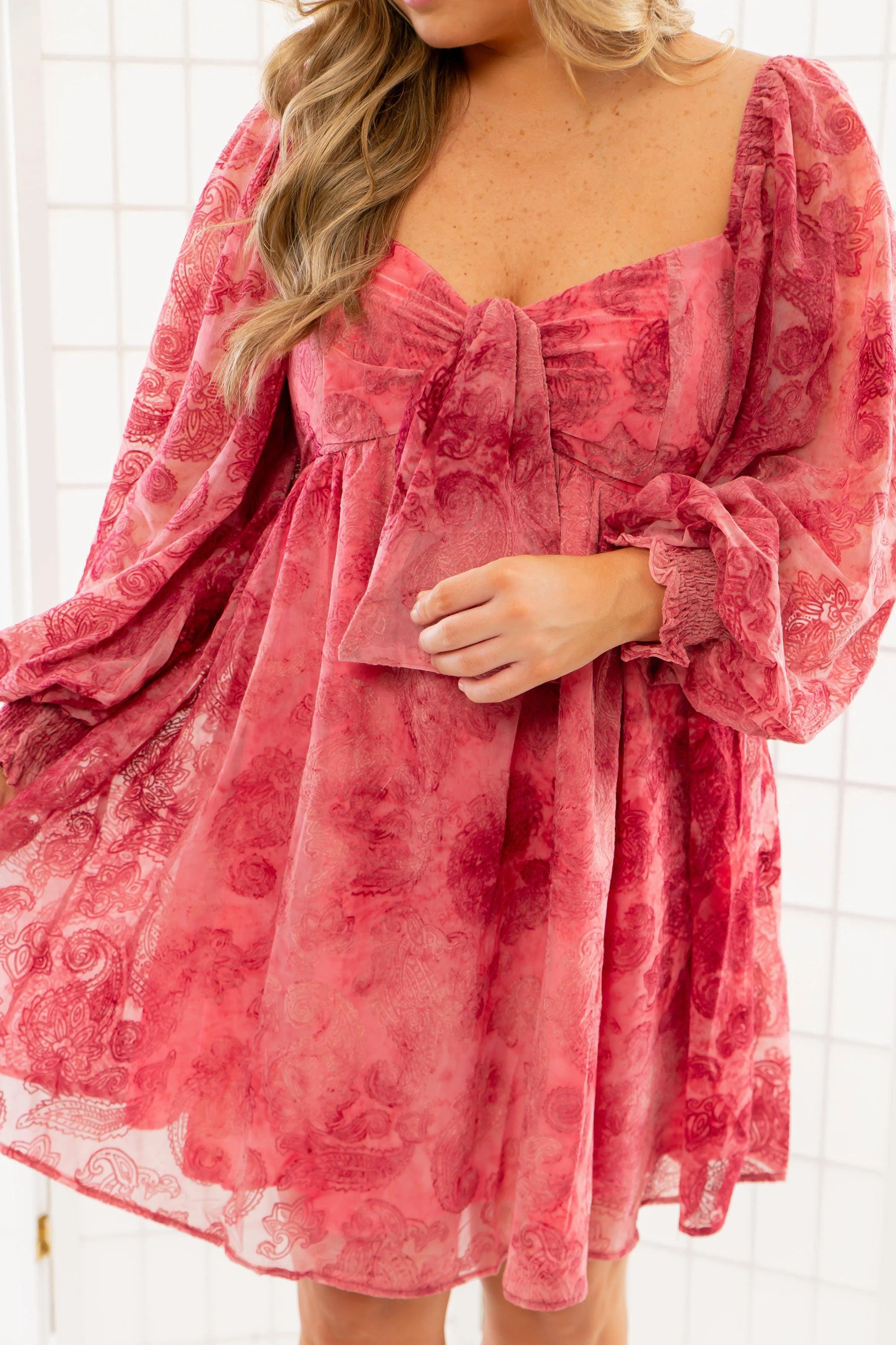 Paisley Berry Burnout Velvet Mini Dress