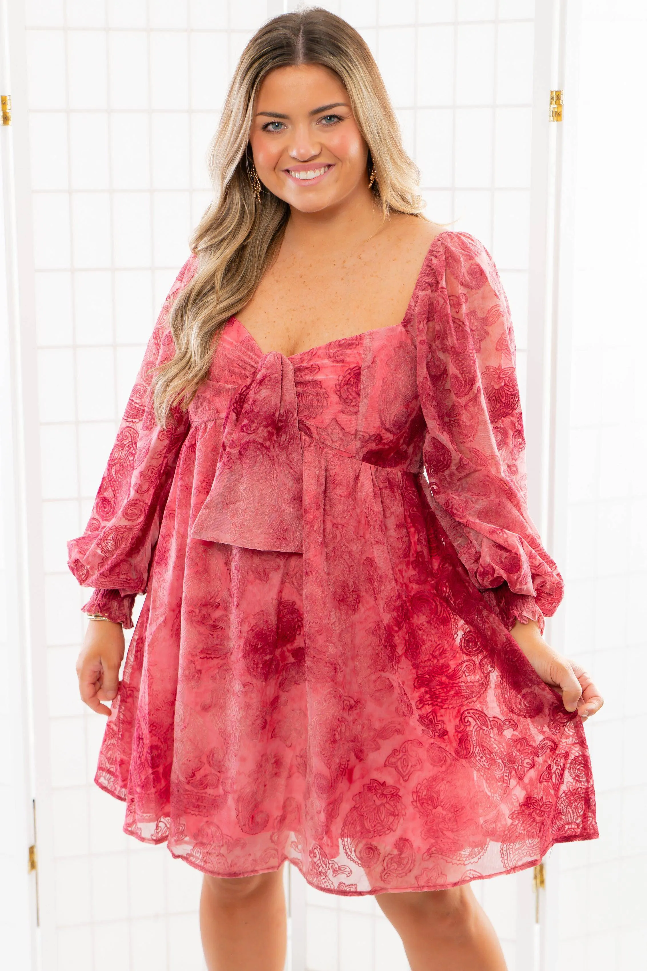Paisley Berry Burnout Velvet Mini Dress