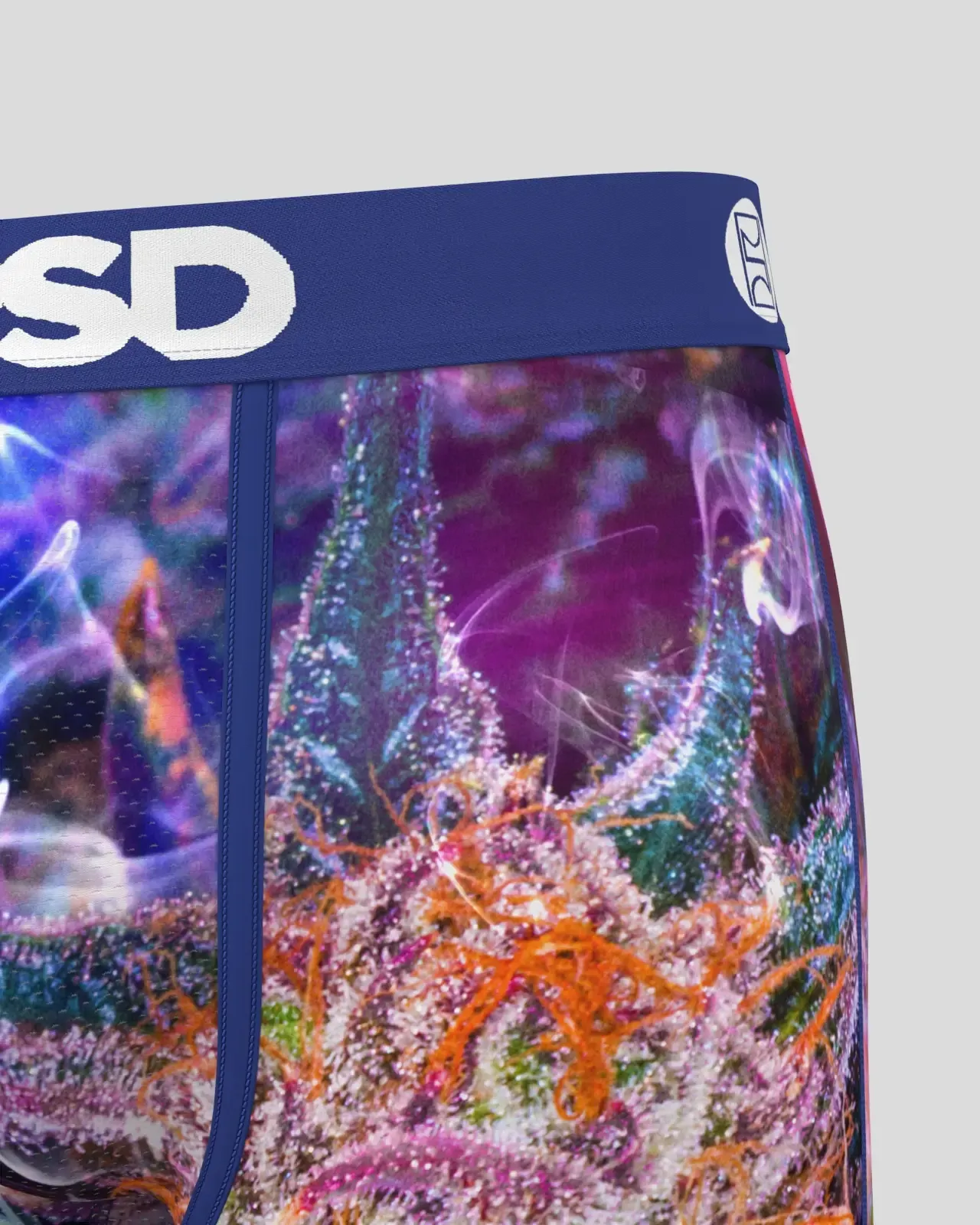 PSD Prism Strain Boxer Brief Underwear